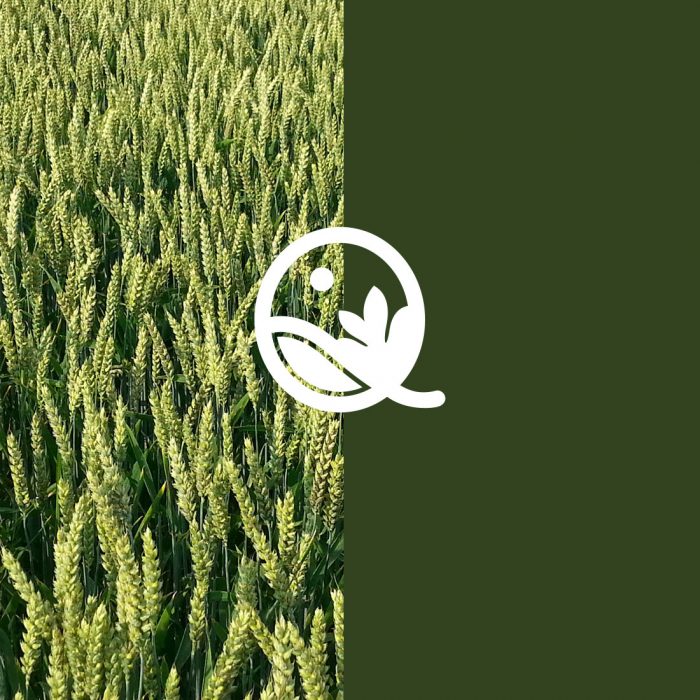 Trabajos - STOP AND THINK